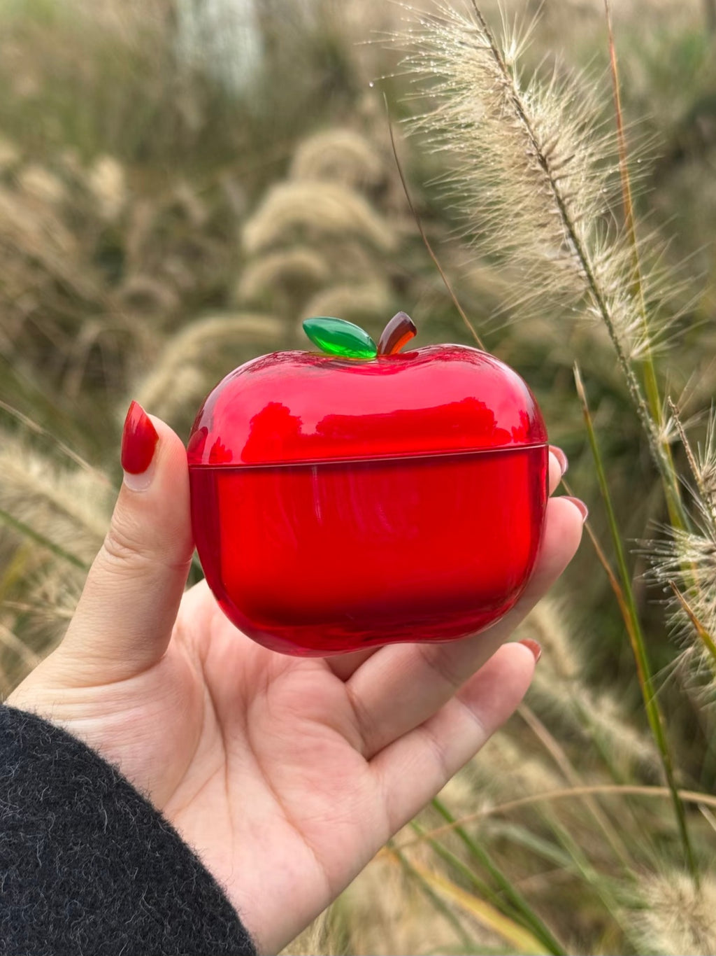 [cn | pre-order] apple fruit airpods case