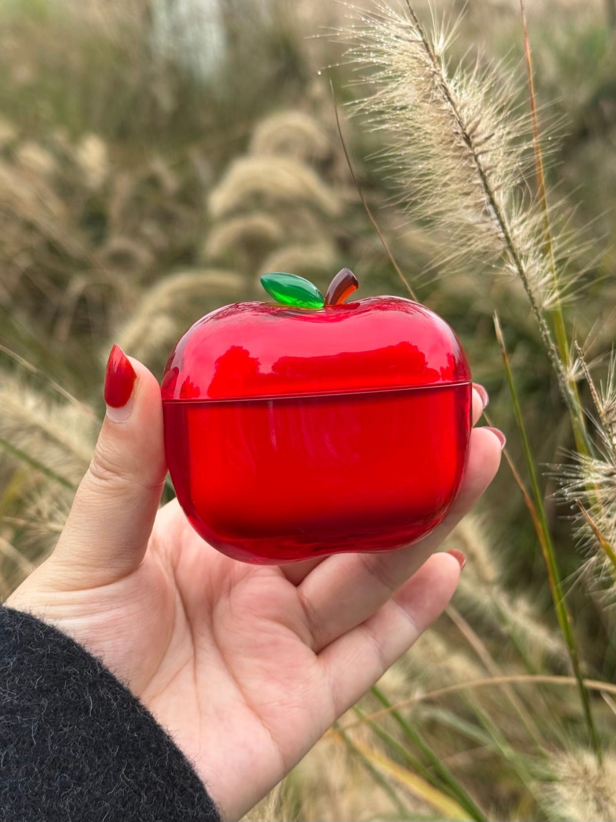 [cn | pre-order] apple fruit airpods case